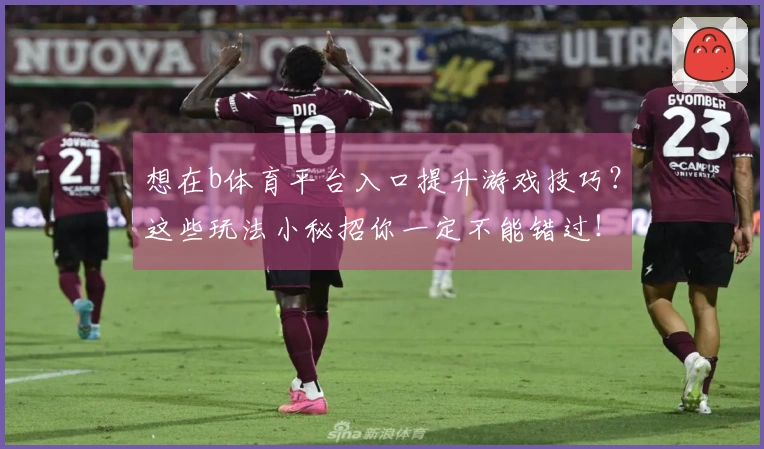 想在b体育平台入口提升游戏技巧？这些玩法小秘招你一定不能错过！