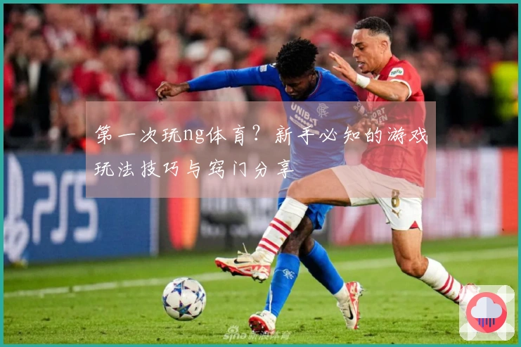 第一次玩ng体育？新手必知的游戏玩法技巧与窍门分享