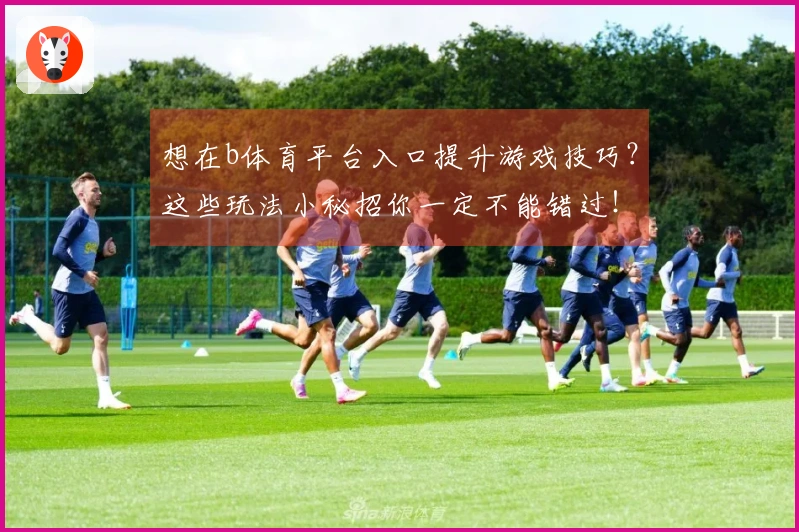 想在b体育平台入口提升游戏技巧？这些玩法小秘招你一定不能错过！